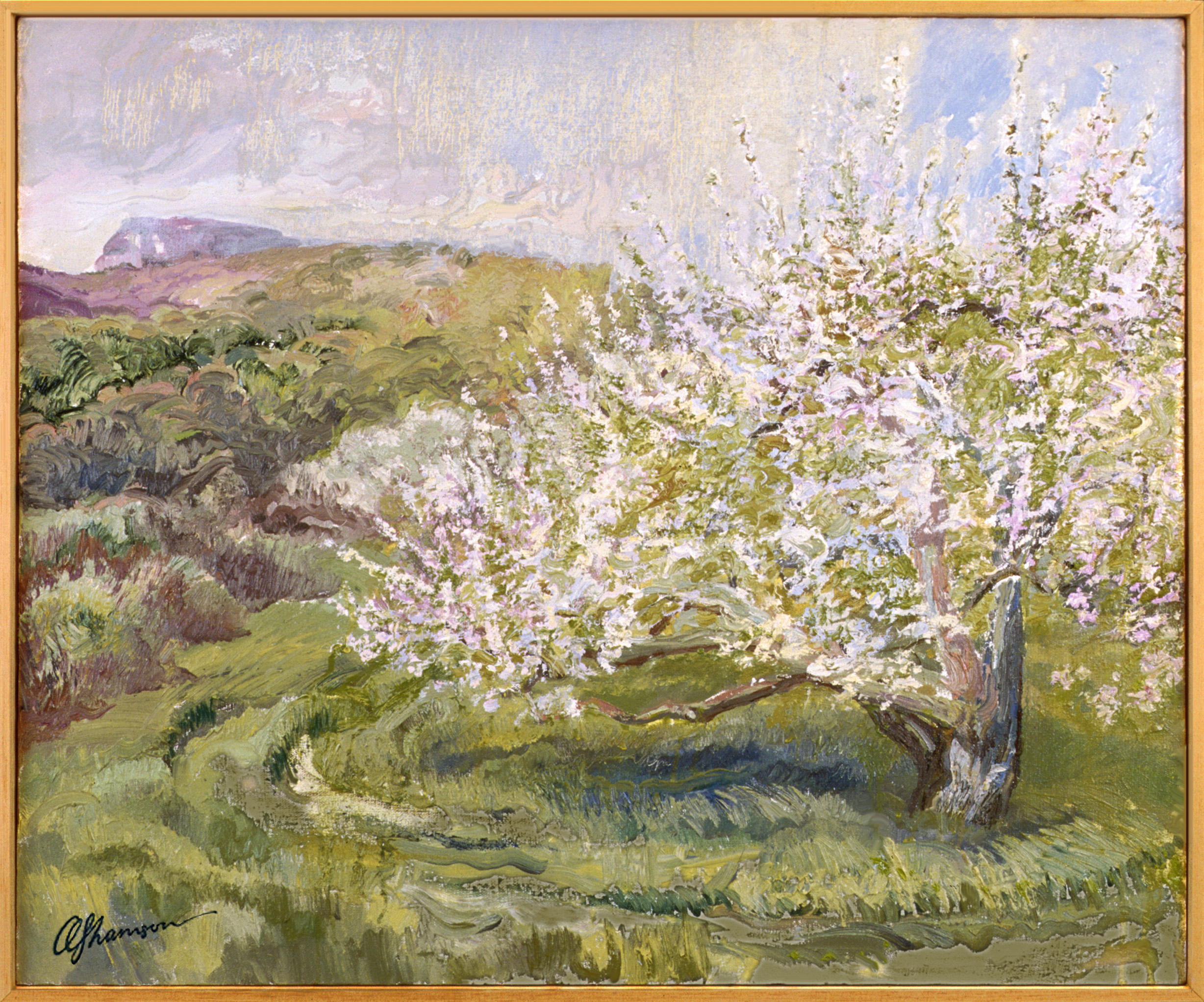 Spring Orchard